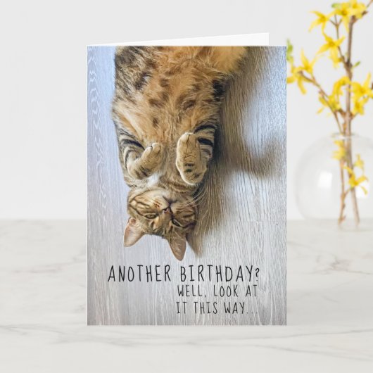 Carte d'anniversaire de chat amusant (Fleur jaune)