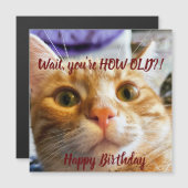 Carte d'anniversaire de chat amusant (Devant / Derrière)