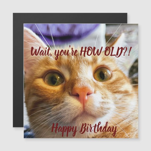 Carte d'anniversaire de chat amusant (Devant / Derrière)