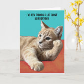 Carte d'anniversaire de chat amusant (Fleur jaune)