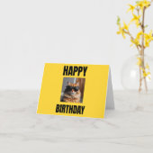 Carte d'anniversaire de chat cool pour Amoureux de (Fleur jaune)