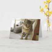 Carte d'anniversaire de chat de Bob (Fleur jaune)