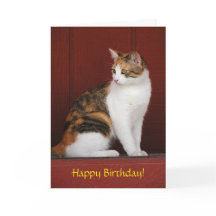 Carte d'anniversaire de chat de calicot