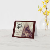Carte d'anniversaire de chat de Carpe Diem (Fleur jaune)