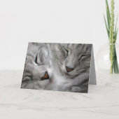 Carte d'anniversaire de chat de forêt (Devant)