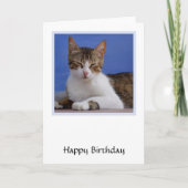 Carte d'anniversaire de chat grec (Devant)