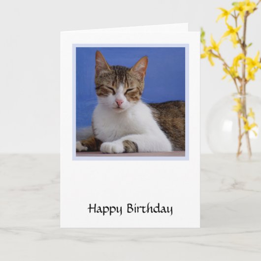 Carte d'anniversaire de chat grec (Fleur jaune)