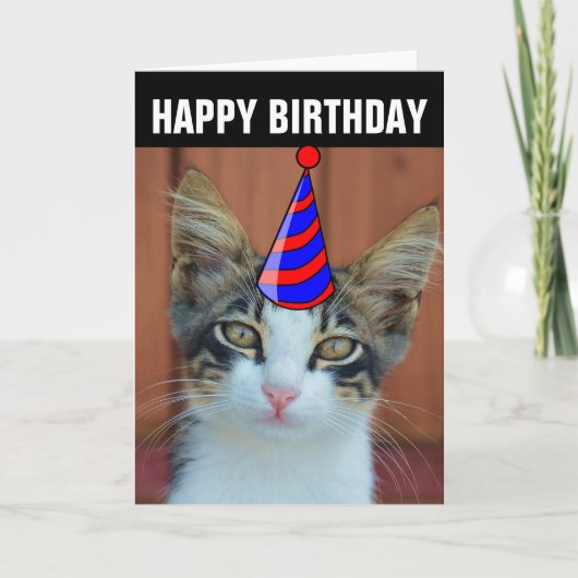 CARTE D'ANNIVERSAIRE DE CHAT MIGNON (Devant)