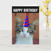 CARTE D'ANNIVERSAIRE DE CHAT MIGNON (Fleur jaune)