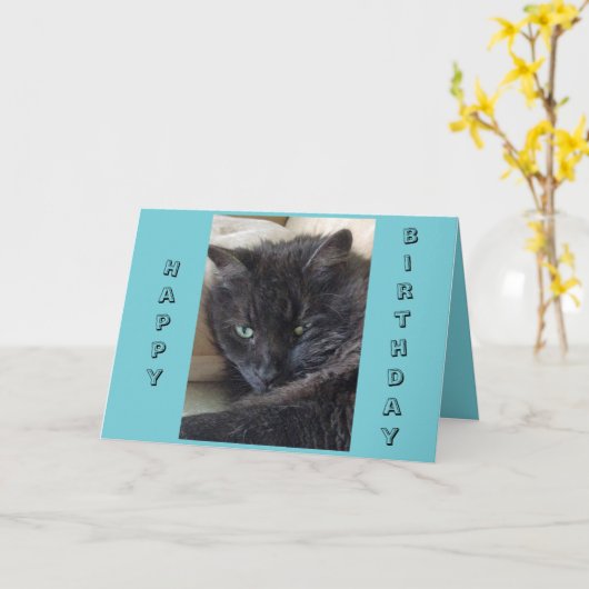 Carte d'anniversaire de chat noir (Fleur jaune)