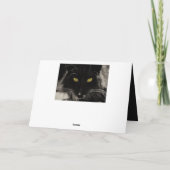 Carte d'anniversaire de chat noir, 70 ans de Perso (Dos)