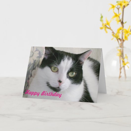 Carte d'anniversaire de chat noir et blanc (Fleur jaune)