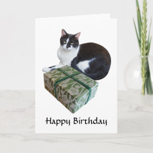Carte d'anniversaire de chat noir et blanc
