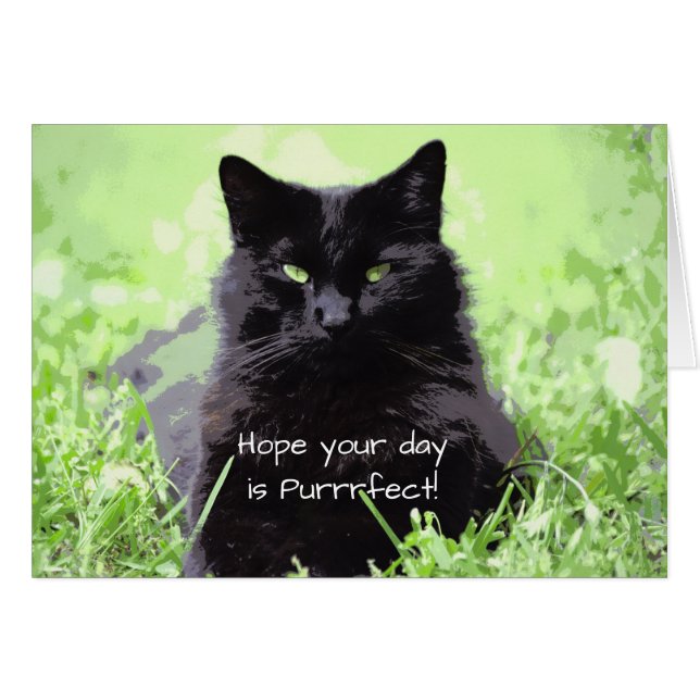 Carte d'anniversaire de chat Purrfect (Devant horizontal)