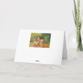 Carte d'anniversaire de chat roux (Dos)