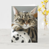CARTE D'ANNIVERSAIRE DE CHAT TABBY (Fleur jaune)