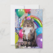 Carte d'anniversaire de chat Tabby, Chat d'anniver (Devant)