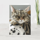 CARTE D'ANNIVERSAIRE DE CHAT TIGRÉ (Devant)