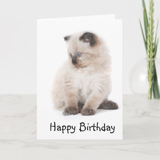 Carte d'anniversaire de chaton de Ragdoll (Devant)