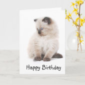 Carte d'anniversaire de chaton de Ragdoll (Fleur jaune)