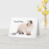 Carte d'anniversaire de chaton de Ragdoll (Fleur jaune)