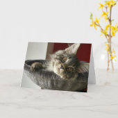 Carte d'anniversaire de chaton Maine Coon (Fleur jaune)