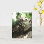 Carte d'anniversaire de chatons mignons se câlinan (Fleur jaune)