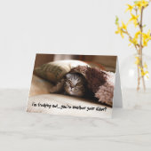 Carte d'anniversaire de chats de chats de chats en (Fleur jaune)