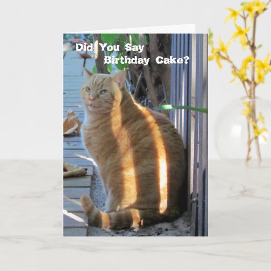 Carte d'anniversaire de chats gras - Faisons la fê (Fleur jaune)