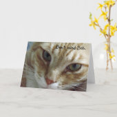 Carte d'anniversaire de chats humoristiques (Fleur jaune)