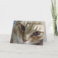 Carte d'anniversaire de chats humoristiques
