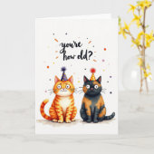 Carte d'anniversaire de chats joueurs (Fleur jaune)