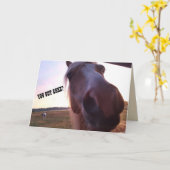 Carte d'anniversaire de cheval (Fleur jaune)