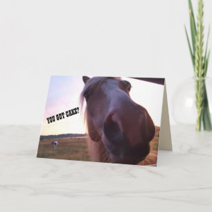 Carte d'anniversaire de cheval