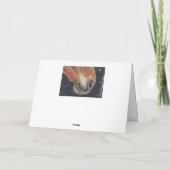 Carte d'anniversaire de cheval (Dos)