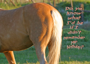 Cartes De Vœux Cheval Humoristique Zazzle Be