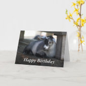 Carte d'anniversaire de chèvre (Fleur jaune)