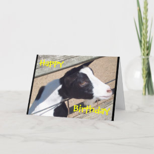 Carte d'anniversaire "de chèvre de zoo"