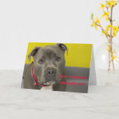 Carte d'anniversaire de chien (Fleur jaune)