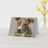 Carte d'anniversaire de chien (Fleur jaune)