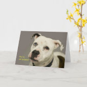 Carte d'anniversaire de chien (Fleur jaune)