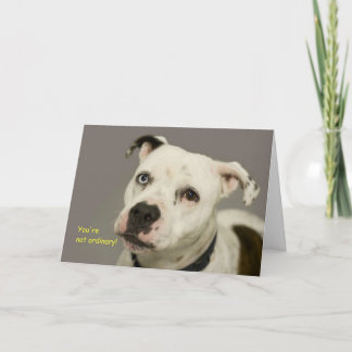 Carte d'anniversaire de chien