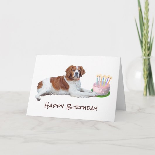 Carte d'anniversaire de chien avec gâteau (Devant)