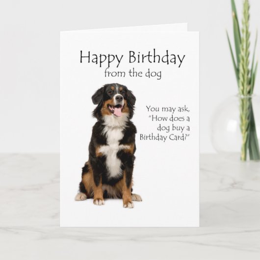 Carte d'anniversaire de chien de Bernese Mt. (Devant)