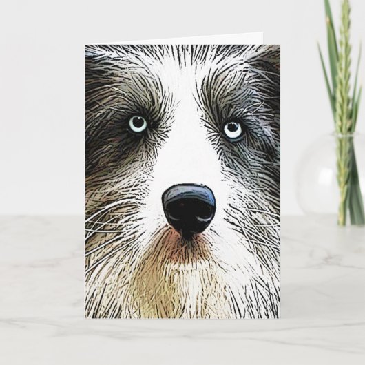 Carte d'anniversaire de chien de colley (Devant)