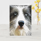 Carte d'anniversaire de chien de colley (Fleur jaune)