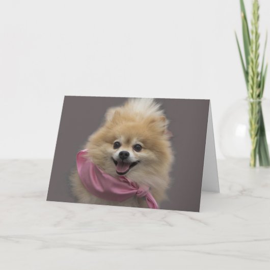 Carte d'anniversaire de chien de Pomeranian par le (Devant)