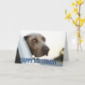 Carte d'anniversaire de chien de Weimaraner (Fleur jaune)
