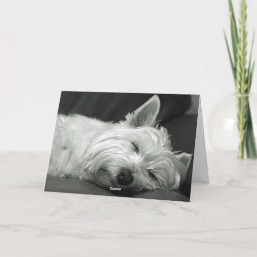 Carte d'anniversaire de chien de Westie (Dos)