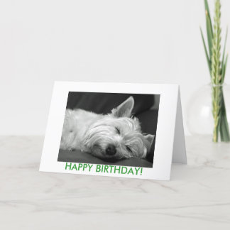 Carte d'anniversaire de chien de Westie